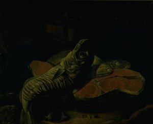 Peixe de Frans van