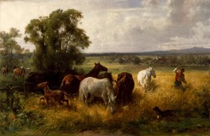 F. Adam, além do pasto
