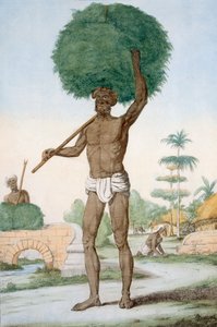 Servo Hindu cortando grama, &39;Os Hindus, ou a Descrição de Suas Maneiras, Trajes e Cerimônias&39;, c.1808-12 (gravura colorida) de Franz Balthazar Solvyns