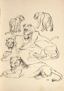 Seis pumas de Franz Barwig d. Ä.