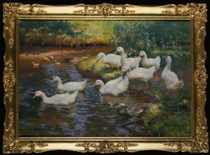 Família de pato (patos com filhotes na margem do rio)