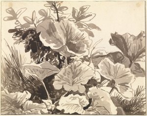 Estudo das folhas de Coltsfoot de Franz Innocenz Kobell