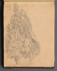 Álbum com Vistas de Roma e Arredores, Estudos Paisagísticos, página 13a: Árvores. de Franz Johann Heinrich Nadorp