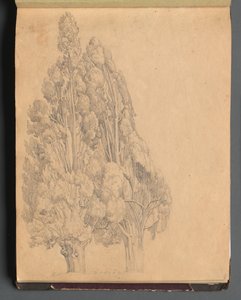 Álbum com vistas de Roma e arredores, Estudos de paisagem, página 13a: Árvores de Franz Johann Heinrich Nadorp