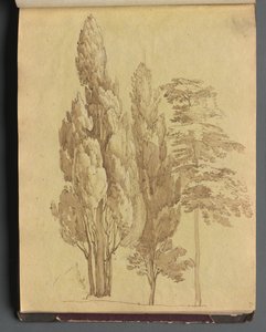 Álbum com vistas de Roma e arredores, Estudos de paisagem, página 15a: Árvores de Franz Johann Heinrich Nadorp
