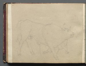 Álbum com vistas de Roma e arredores, Estudos de paisagem, página 51b: Estudo de um touro. de Franz Johann Heinrich Nadorp