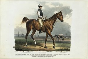 Dagoberto de Franz Krüger
