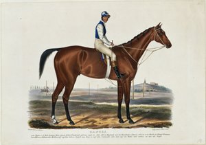 Ganges de Franz Krüger