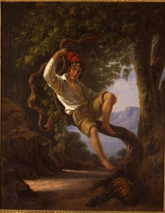 Um jovem rapaz subindo em uma árvore, década de 1820