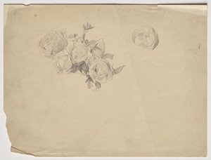 Estudo de Rose de Franz von Matsch