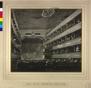 Viena 1 de Franz von Matsch