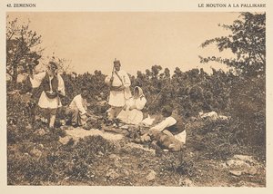 Zémen. Ovelhas no Pallikare de Frédéric Boissonnas