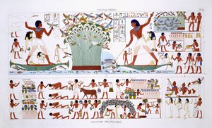 Preparar alimentos para mortos, a partir de um Registo Raro de Frescos de Tebas, gravado em 1819-1822 na sua segunda visita ao Egipto por Frederic Cailliaud (1787-1869), cor litho