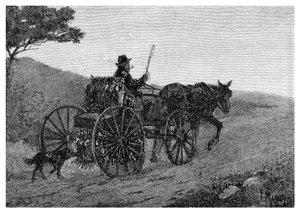 Um caçador de coelhos de Colac, 1886.