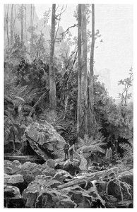 Uma sarjeta nas montanhas azuis, Austrália, 1886.