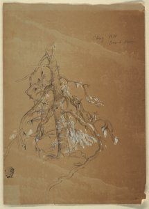 A Evergreen retorcida, Grand Manan, Canadá de Frederic Edwin Church