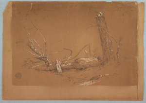 Desenho, Uma árvore morta partida, 1855-65 de Frederic Edwin Church