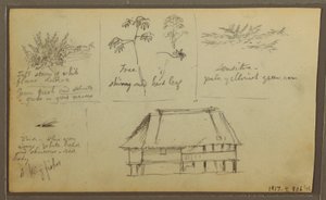 Desenho, Um Forte; Verso: Esboços Botânicos, Casa, 1857 de Frederic Edwin Church