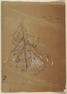 Desenho, Uma árvore perene nodosa, Grand Manan, Canadá, agosto de 1851 de Frederic Edwin Church