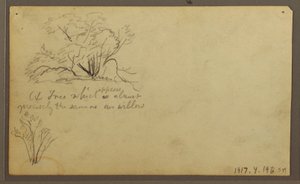 Desenho, Uma cabana nos postes, Guayaquil, Equador, maio de 1857 de Frederic Edwin Church