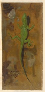Desenho, Um Lagarto, junho de 1865 de Frederic Edwin Church