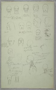 Desenho, Estudos Anatómicos, 1865-70 de Frederic Edwin Church