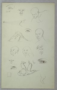 Desenho, Estudos Anatómicos, 1865-70 de Frederic Edwin Church