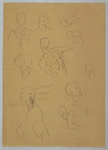 Desenho, Estudos Anatómicos, 1865-70 de Frederic Edwin Church