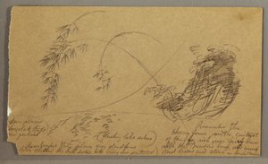 Desenho, Galhos de bambu, possivelmente 1865-66 de Frederic Edwin Church