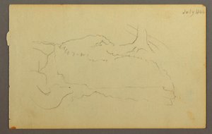 Desenho, Base de uma árvore, pedregulhos, 1844 de Frederic Edwin Church