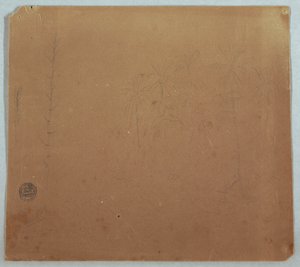 Desenho, esboços botânicos, possivelmente bambus, palmeiras e arbustos, Equador ou Colômbia, 1853 ou 1857 de Frederic Edwin Church