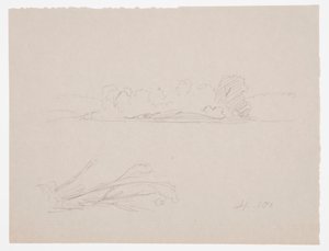 Desenho, Esboços botânicos: paisagem, árvores numa margem, setembro de 1876 de Frederic Edwin Church