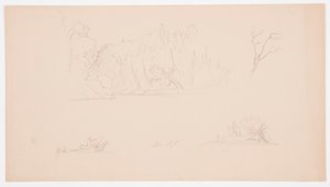 Desenho, Esboços botânicos: árvore, árvores na costa, setembro de 1876 de Frederic Edwin Church