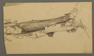 Desenho, Secção inferior de um tronco de árvore morta, 1877 de Frederic Edwin Church