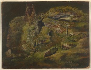 Desenho, Pedregulho no bosque, ca. 1845 de Frederic Edwin Church