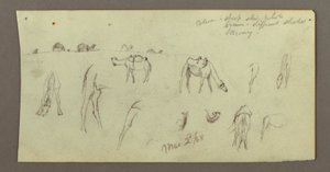 Desenho, Estudos de Camelo, 2 de março de 1868 de Frederic Edwin Church