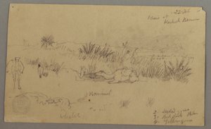 Desenho, Camelos a beber numa colina, 22 de fevereiro, possivelmente 1868 de Frederic Edwin Church