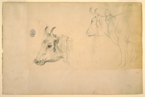 Desenho, Gado, setembro de 1844 de Frederic Edwin Church