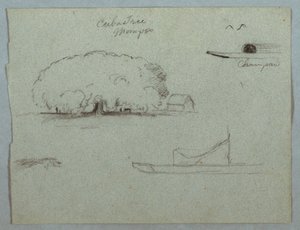 Desenho, Ceiba Tree at Mompos, Champan Canoe, Trees, and a Partial Boat, Rio Magdelena, Colombia, 1853, provavelmente maio de Frederic Edwin Church