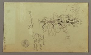 Desenho, chaminés, cascatas, figura, etc., julho possivelmente 1868 de Frederic Edwin Church