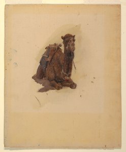 Desenho, Dromedário agachado, 1868 de Frederic Edwin Church