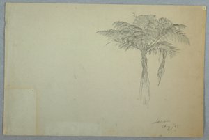 Desenho, Estudo de um feto, Jamaica, agosto de 1865 de Frederic Edwin Church