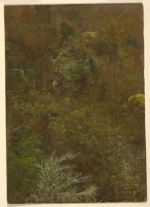 Desenho, encosta coberta de arbustos e árvores, julho de 1865 de Frederic Edwin Church