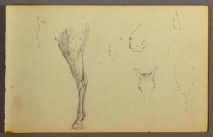 Desenho, Estudos de cavalos, possivelmente 1844 de Frederic Edwin Church