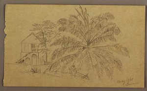 Desenho, Casa e Feto, maio de 1865 de Frederic Edwin Church