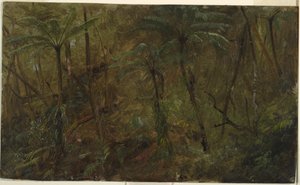 Desenho, Nos bosques da Jamácia, Índias Ocidentais, 1865 de Frederic Edwin Church
