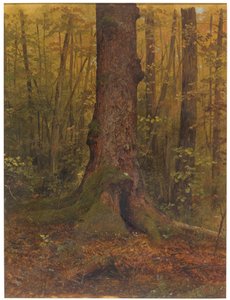 Desenho, No bosque, provavelmente no Maine, 1850-60 de Frederic Edwin Church