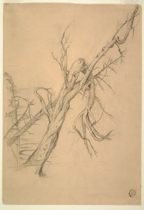 Desenho, acampamento índio, Grand Manan, Baía de Fundy, setembro de 1851 de Frederic Edwin Church