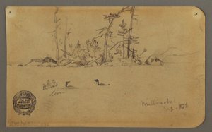 Desenho, Ilha, Dois mergulhões, 1878 de Frederic Edwin Church