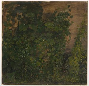 Desenho, Vegetação da Selva, 1865 de Frederic Edwin Church